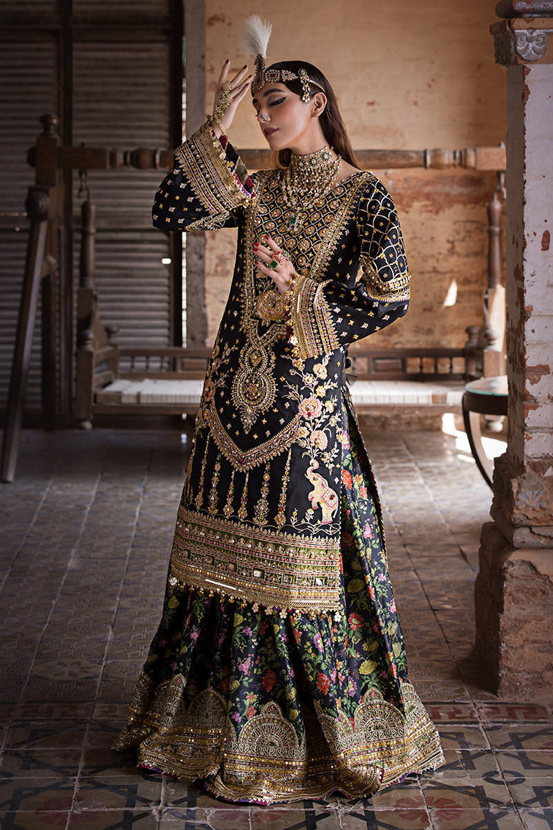 KOYAL - MNR - Image 5